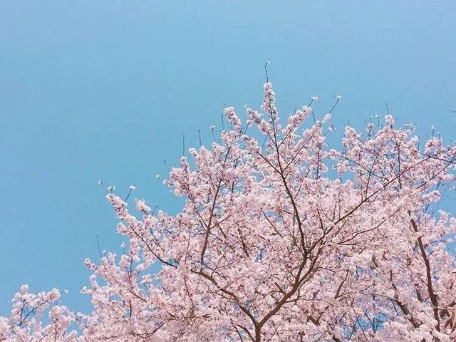 去日本，你不能不知道的那些礼仪文化