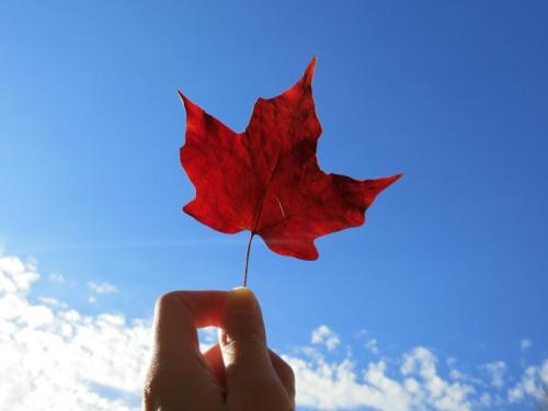 10月20日起，留学生将可入境加拿大