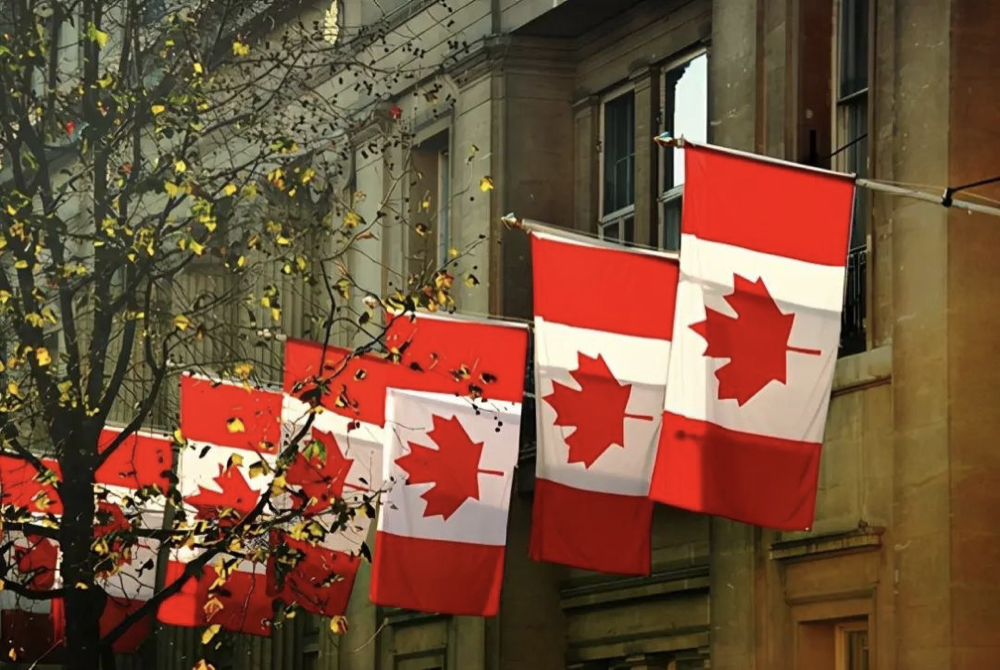 加拿大开启抢人模式 | 留学生学费减免87.5%，推出全新工作签！